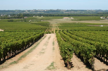 Pauillac, village viticole de la région du Médoc en France